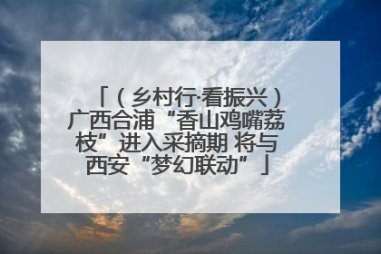 （乡村行·看振兴）广西合浦“香山鸡嘴荔枝”进入采摘期 将与西安“梦幻联动”