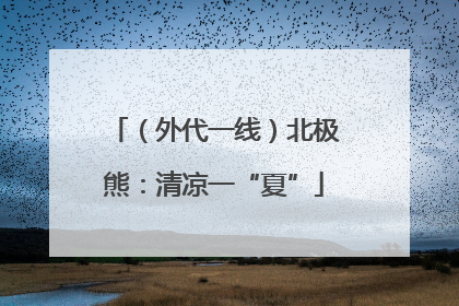 （外代一线）北极熊：清凉一“夏”