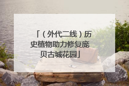 （外代二线）历史植物助力修复庞贝古城花园