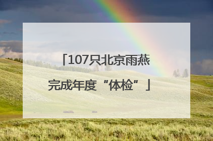 107只北京雨燕完成年度“体检”