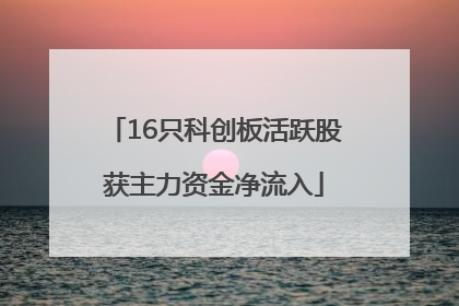 16只科创板活跃股获主力资金净流入
