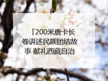 200米唐卡长卷讲述民族团结故事 献礼西藏自治区成立60周年