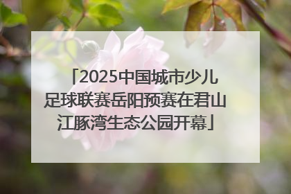2025中国城市少儿足球联赛岳阳预赛在君山江豚湾生态公园开幕