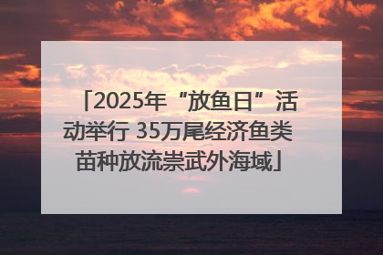 2025年“放鱼日”活动举行 35万尾经济鱼类苗种放流崇武外海域