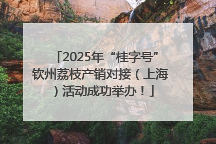 2025年“桂字号”钦州荔枝产销对接（上海）活动成功举办！