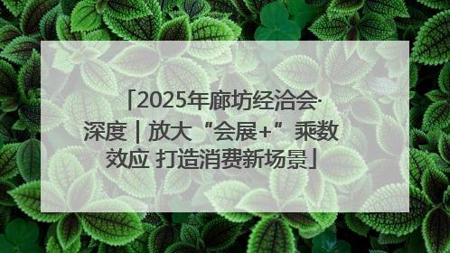 2025年廊坊经洽会·深度｜放大“会展+”乘数效应 打造消费新场景