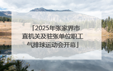 2025年张家界市直机关及驻张单位职工气排球运动会开幕