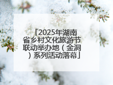 2025年湖南省乡村文化旅游节联动举办地（金洞）系列活动落幕