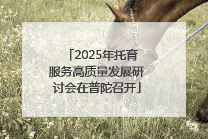 2025年托育服务高质量发展研讨会在普陀召开