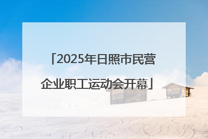 2025年日照市民营企业职工运动会开幕