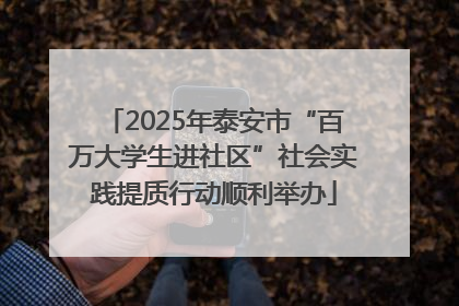 2025年泰安市“百万大学生进社区”社会实践提质行动顺利举办