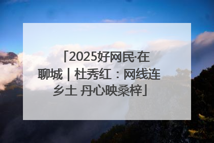 2025好网民·在聊城｜杜秀红：网线连乡土 丹心映桑梓