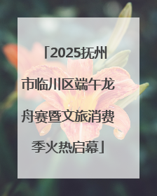 2025抚州市临川区端午龙舟赛暨文旅消费季火热启幕