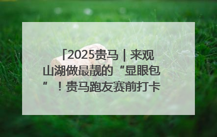 2025贵马｜来观山湖做最靓的“显眼包”！贵马跑友赛前打卡点燃奔跑热情
