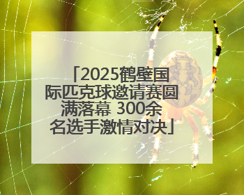 2025鹤壁国际匹克球邀请赛圆满落幕 300余名选手激情对决
