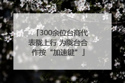 300余位台商代表陇上行 为陇台合作按“加速键”
