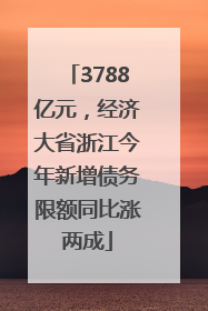3788亿元，经济大省浙江今年新增债务限额同比涨两成