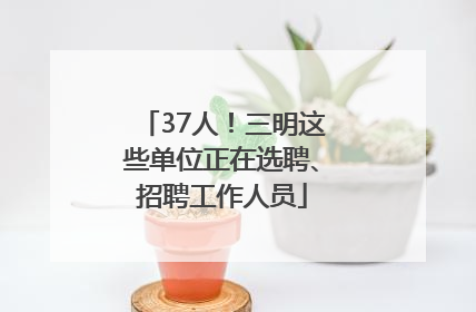 37人！三明这些单位正在选聘、招聘工作人员