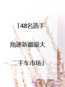 48名选手角逐新疆最大二手车市场