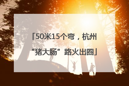 50米15个弯，杭州“猪大肠”路火出圈