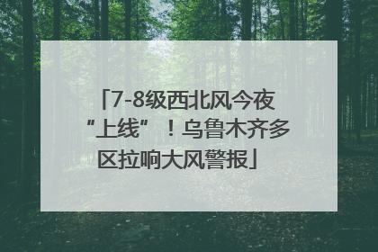 7-8级西北风今夜“上线”！乌鲁木齐多区拉响大风警报