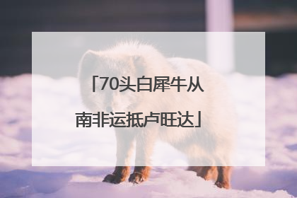 70头白犀牛从南非运抵卢旺达