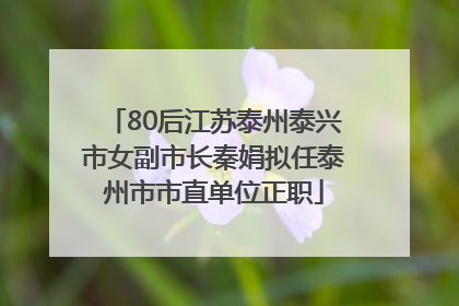 80后江苏泰州泰兴市女副市长秦娟拟任泰州市市直单位正职
