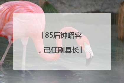 85后钟昭容，已任副县长