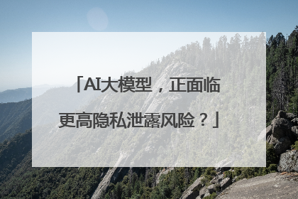 AI大模型，正面临更高隐私泄露风险？