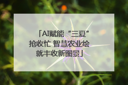 AI赋能“三夏”抢收忙 智慧农业绘就丰收新图景