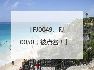 FJ0049、FJ0050，被点名！