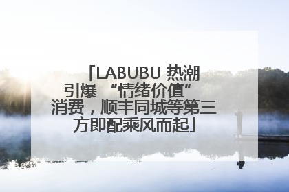 LABUBU 热潮引爆 “情绪价值” 消费，顺丰同城等第三方即配乘风而起