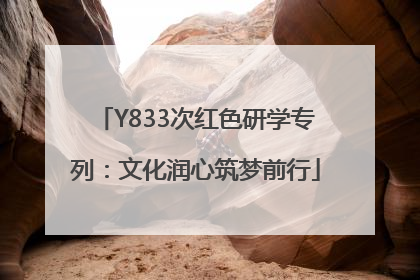 Y833次红色研学专列：文化润心筑梦前行